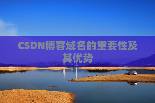 CSDN博客域名的重要性及其优势